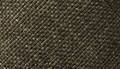 Dark Olive